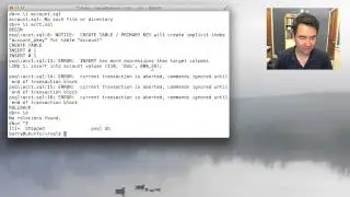 Database Transactions, part 5: Scripting