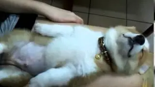 How to sleep in it ( o nasıl uyumak)