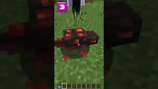I Found The Minecraft Multiverse!