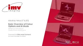 Mindray Vetus E7: A Basic Overview of Colour Options and M Mode