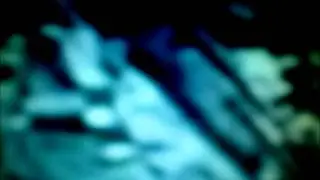 UNIVERS OBSKUR : BESTIALITY.avi