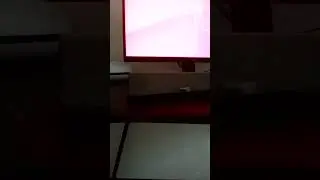 vole