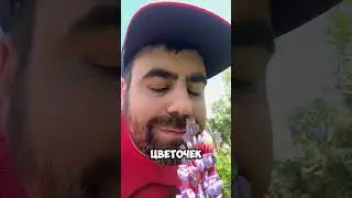 Аллергикам не смотреть🙈