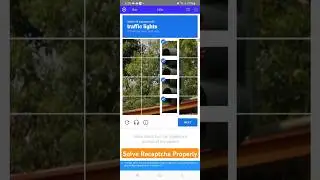 How to solve reCAPTCHA properly (2captcha,captchatypers)