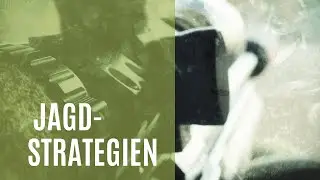 Ableitung von Jagdstrategien aus dem Mondzyklus