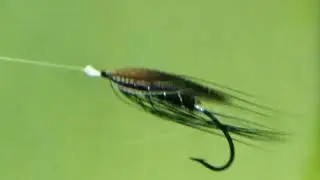 Spey Salmon Fly under water,  silk gut eye