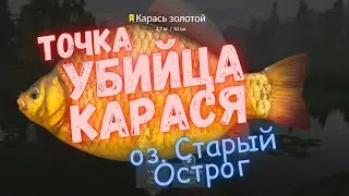 Русская рыбалка 4 (РР4) оз. Старый Острог КАРАСЬ