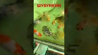 16 июня 2024 г.