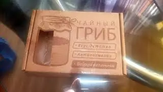 Чайный гриб.