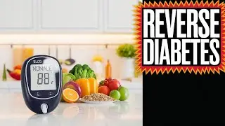 Reverse Type 2 Diabetes The Verto Health Revolution