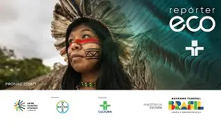 Repórter Eco | ONG Brasileira defende povos indígenas | 01/09/2024