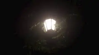 Ода к радости