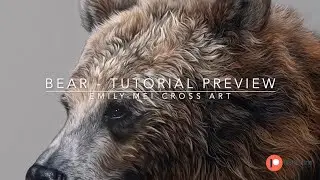 Learn to draw a bear - tutorial preview #beginnerartists #pastelpencils #patreon #softpastels