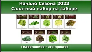 🥬 A new 2023 season has started - NFT on a fence is a very simple system 🥬