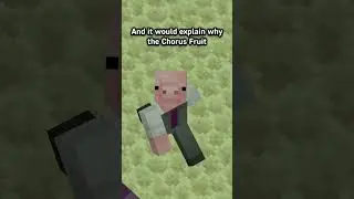 How to fix Phantoms in Minecraft