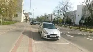 Павлиний глаз в центре Бреста 🦋❤️