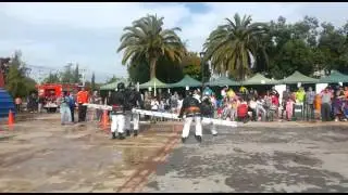 Ejercicio de escalas, Expo-Bomberos Villa Alemana
