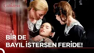 Feride BAYILDI! | Çalıkuşu 16. Bölüm