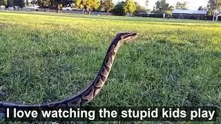 snake with subtitles