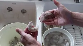 How to peel shrimp fast