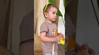 0490 корги
