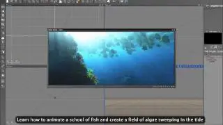 Vue 10 - Tutorial - Master EcoSystem Phasing