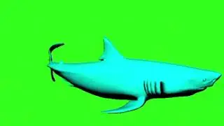 Fish of different colors|Green screen cartoon character Cartoon for the kids