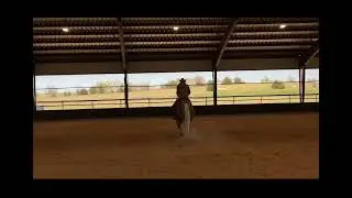Lot 260, Xtra Get Outta Dodge