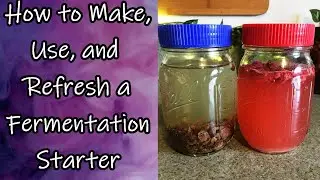 Fermentation Starter : Making, Using, Refreshing