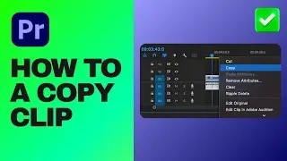 [Easy Guide] Copy a Clip in Adobe Premiere Pro