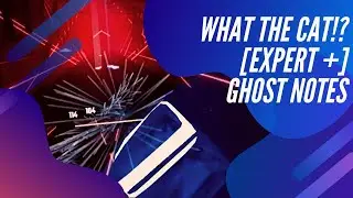 WHAT THE CAT!? | Expert + | Ghost notes | Beat Saber