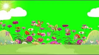 Green screen nature background video /green screen background video effects hd