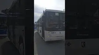 119 автобус и топовый водитель✌