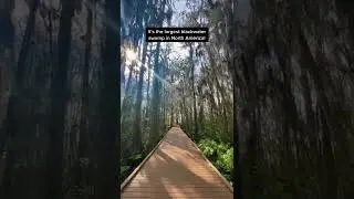 Florida Hiking Tiktok ellismegan