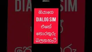 Dialog Sim details Checking Code (