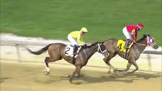 TIMONIUM 08 25 2024 RACE 7