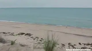 THE BEACH HOUSE Trailer (2020) Horror Movie.mp4