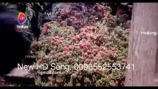 Contact To Buy Song & Movie....Imo & WhatsApp