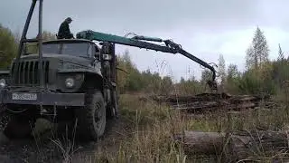 Урал 5557 лесовоз. Погрузка липы.