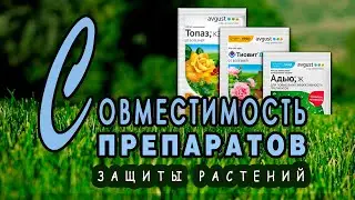 Compatibility of plant protection products. Recipes for tank mixes against pests and diseases.