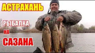 Астрахань весна 2022 / Рыбалка на сазана / остров Мумра