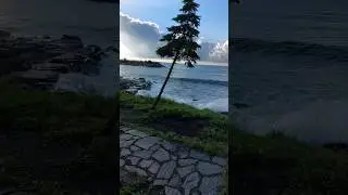 MANZARANIN BÖYLESİ 😍❤️🔥 #youtube #karadeniz #turkey #turkish #sea #tatil #keşfet #bestvideo #nature
