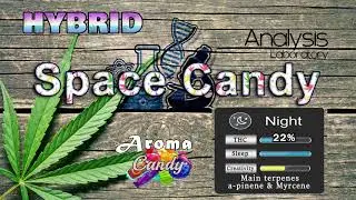 strain review Space Candy - Hybrid THC% - cannabis and music