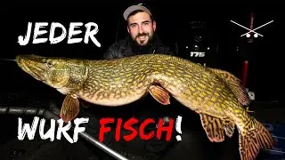 Doppeldrill nach Doppeldrill - Fette Zander und Meterhechte