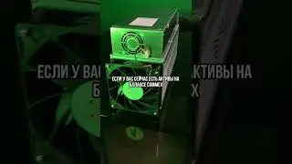 Куда выводить деньги с CommEX ⚡️ 