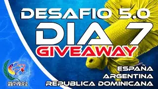Desafio 5.0 Día 7 + GIVEAWAY