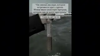 Сура 55, аят 19-20. Он смешал два моря,которые встречаются друг с другом