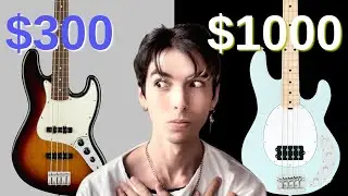 $300 Bass vs $1000 Bass || Fender Jazz vs Music Man Stingray Bass Comparing