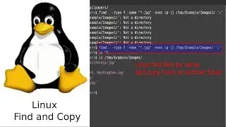 Linux combine find and copy commands
