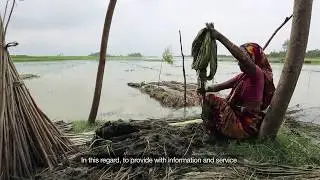 Intervention effectiveness of TAMTAM project
